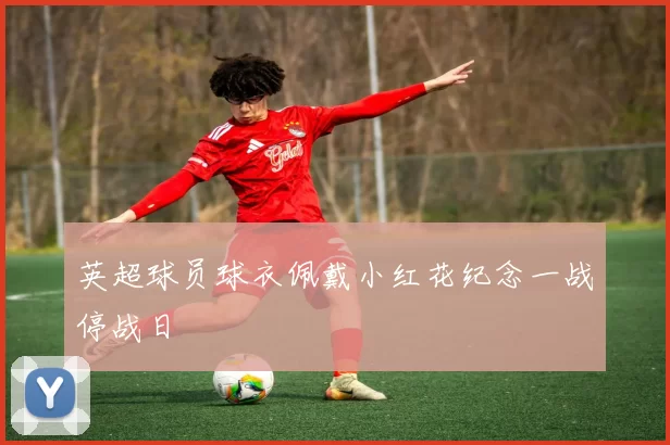 英超球员球衣佩戴小红花纪念一战停战日