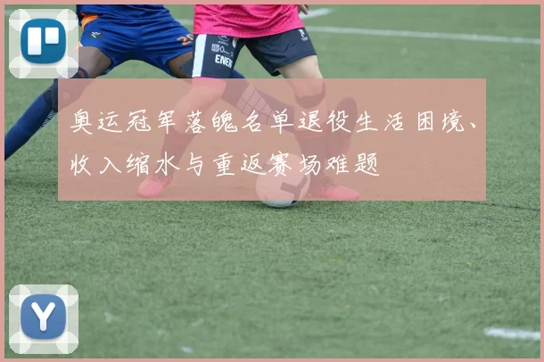奥运冠军落魄名单退役生活困境、收入缩水与重返赛场难题