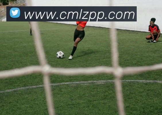 开云官方端网页版登录入口 - 开云(中国)APP 高清赛事图